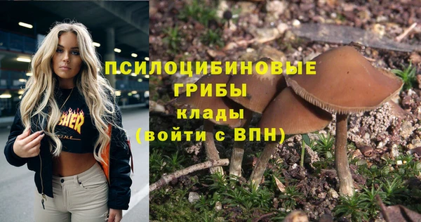 трава Надым