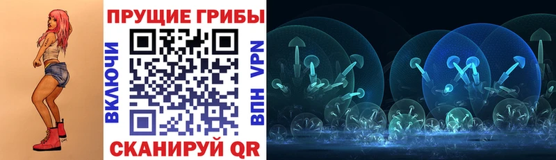 Псилоцибиновые грибы мицелий  МЕГА зеркало  Великий Устюг 
