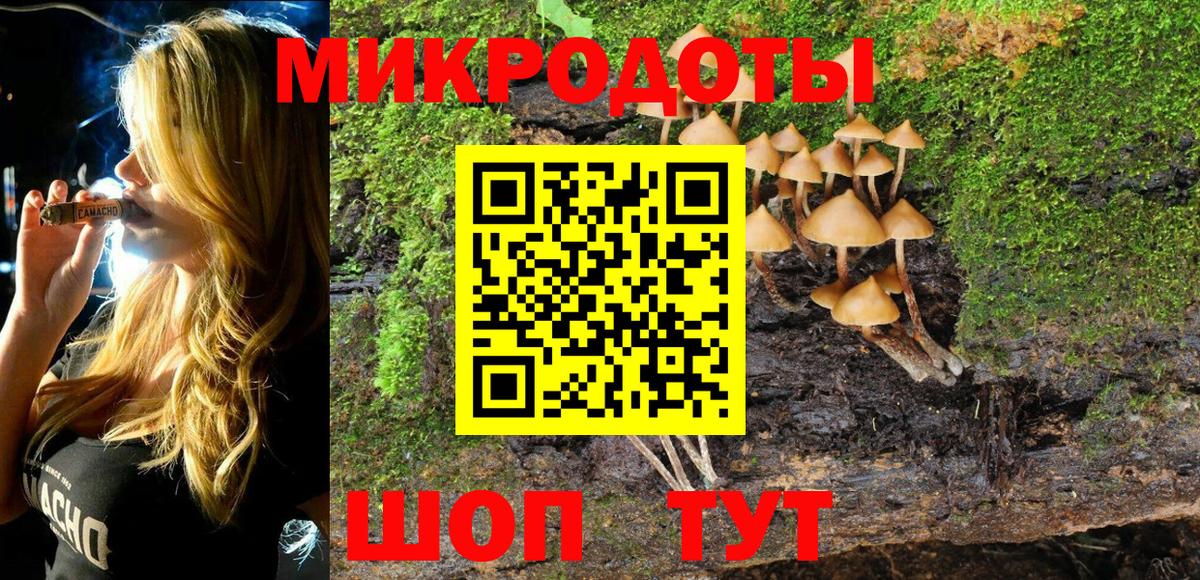 Галлюциногенные грибы Psilocybe  Великий Устюг 