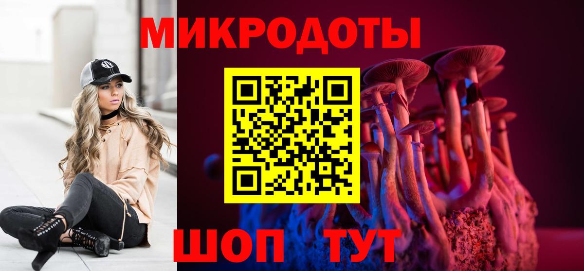 Великий Устюг  Галлюциногенные грибы Psilocybine cubensis  Вход с VPN 
